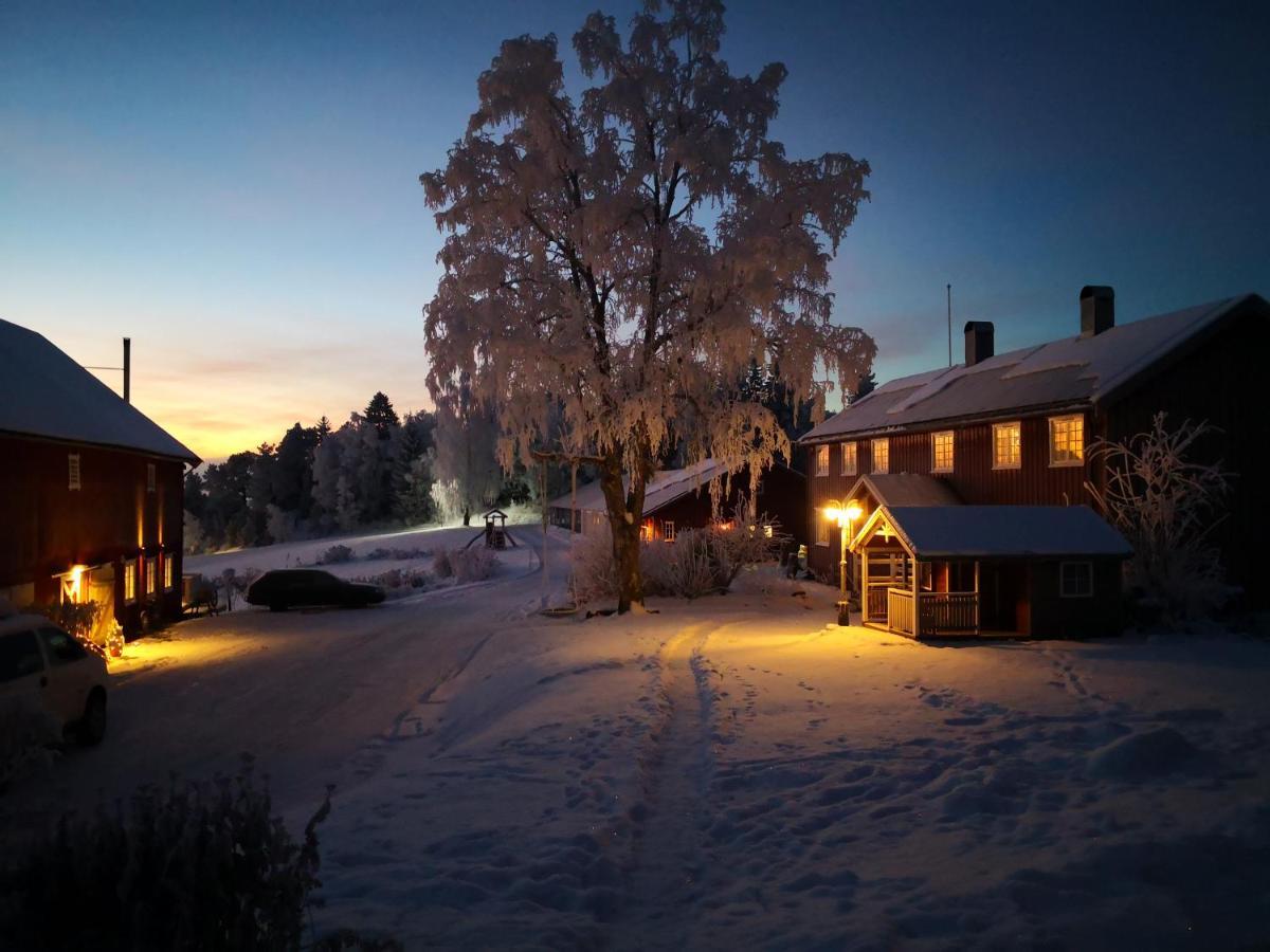 Yttervik Gard Apartment Steinkjer Bagian luar foto